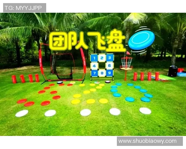 飞盘竞技新风潮：深圳飞盘队包夹战术全解析与背后故事